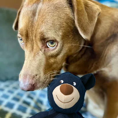 2025 Neue Unbreak-Bear™ für starke Kauer