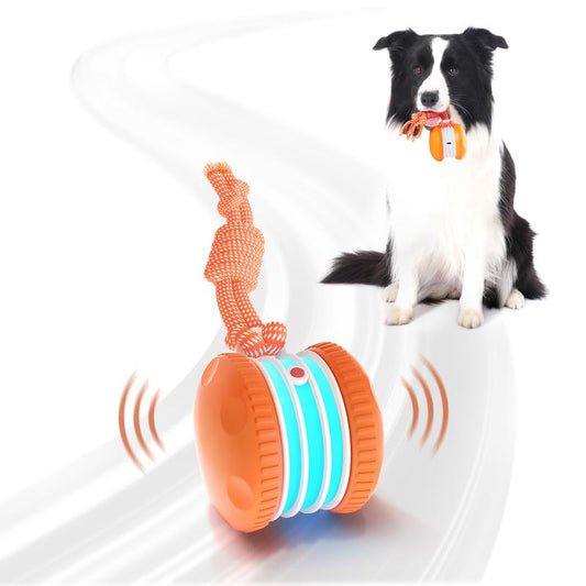 🐶 Der YOBENSUN™ – Für einen entspannten, glücklichen und zufriedenen Vierbeiner 🐾
